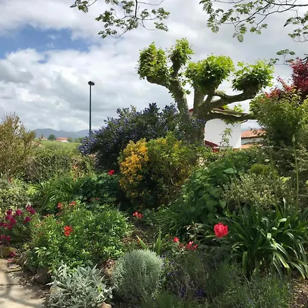 Burkia Сasa de vacaciones